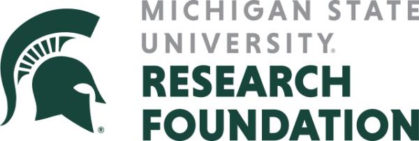 Michigan Strategic Fund